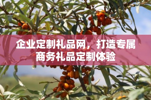 企业定制礼品网，打造专属商务礼品定制体验
