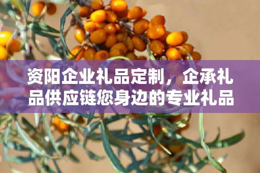 资阳企业礼品定制，企承礼品供应链您身边的专业礼品定制公司